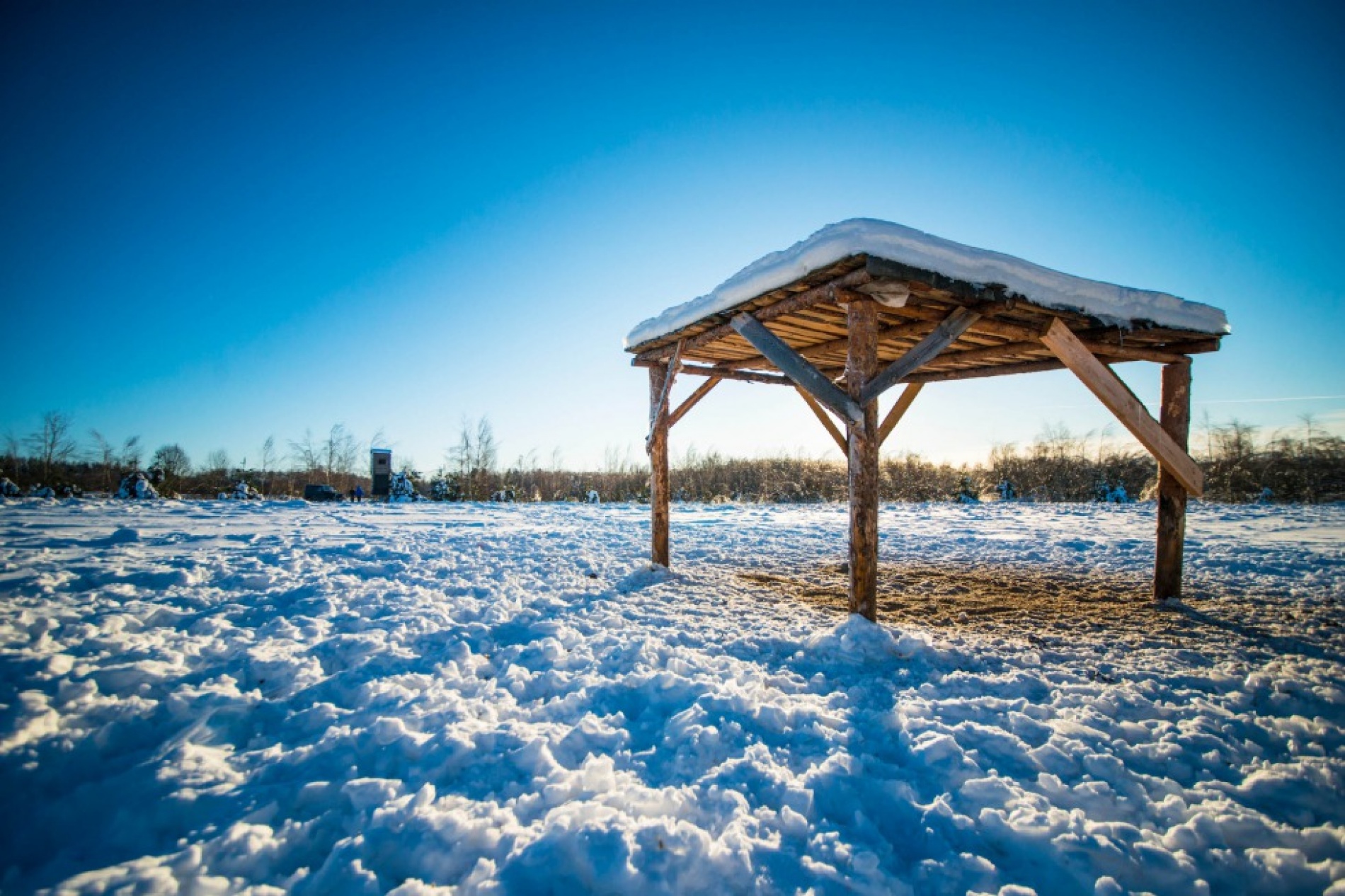 Фото Заозерье