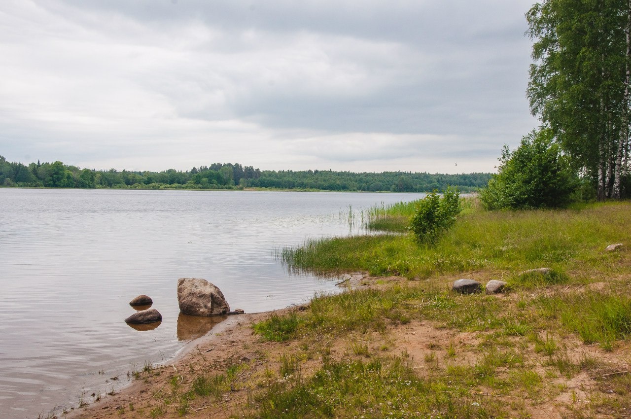 Фото Лесная дача