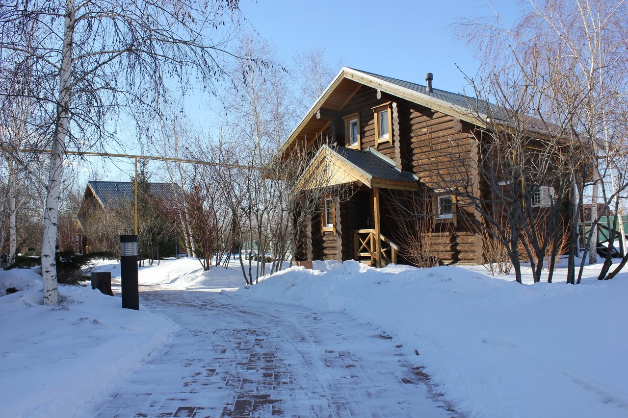 Фото Подсолнух