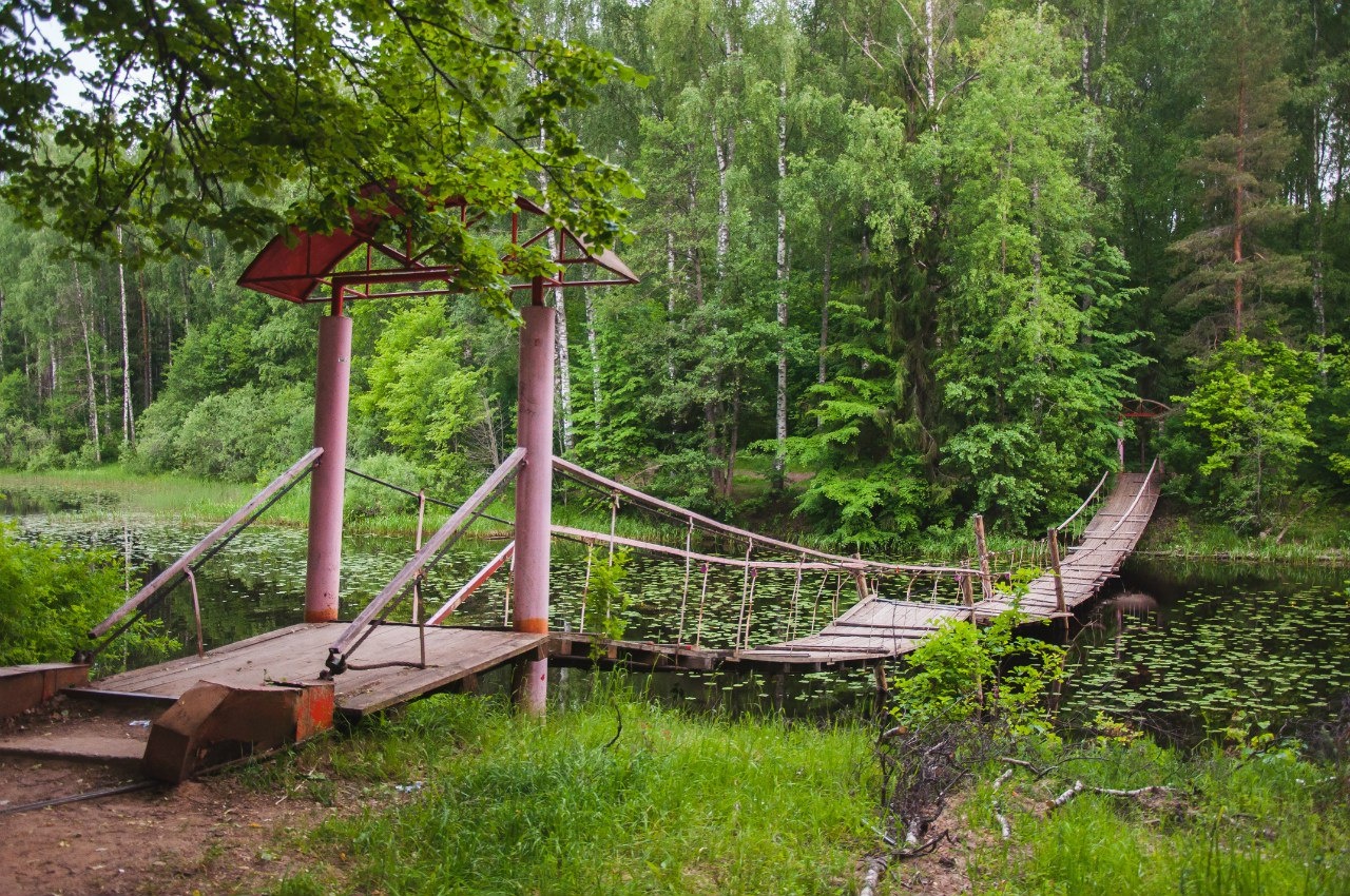 Фото Лесная дача