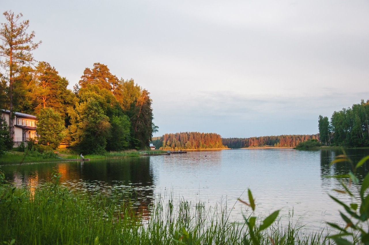 Фото Лесная дача