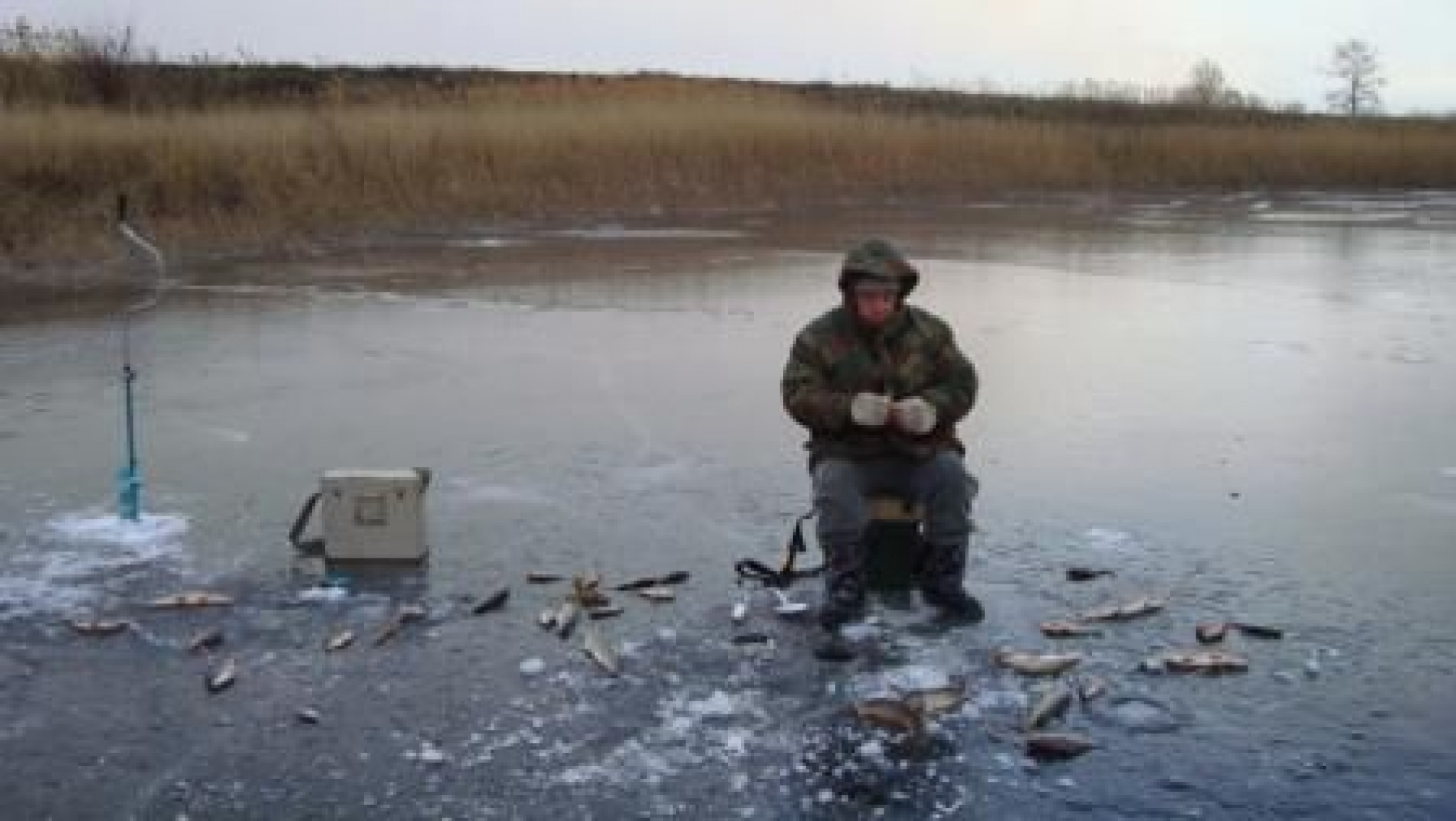 Фото На крючке