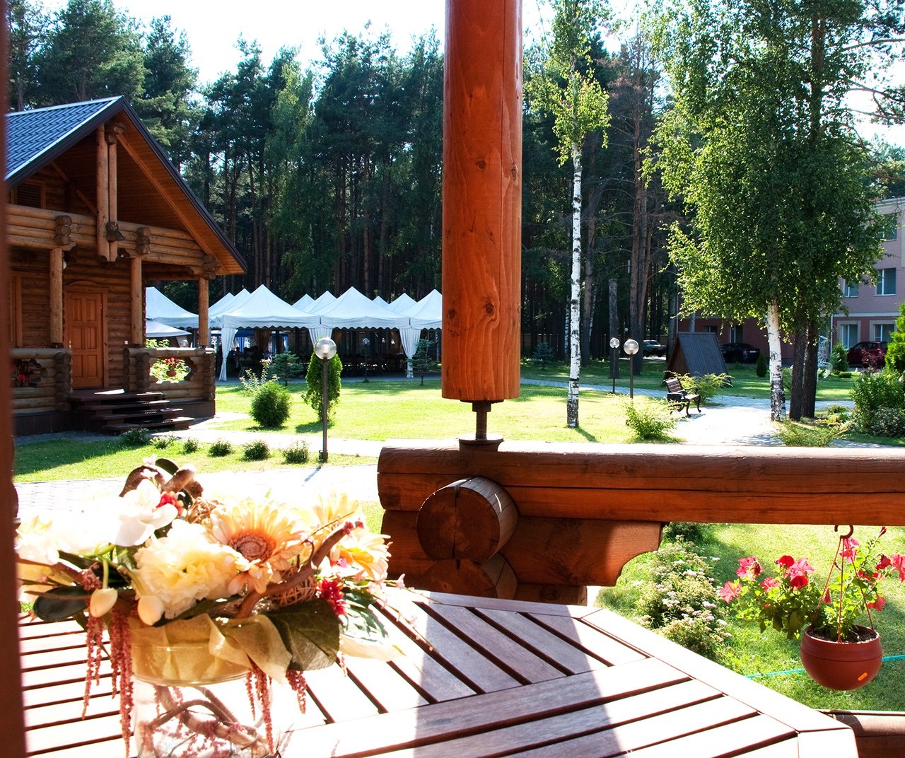 Фото Сосновый бор