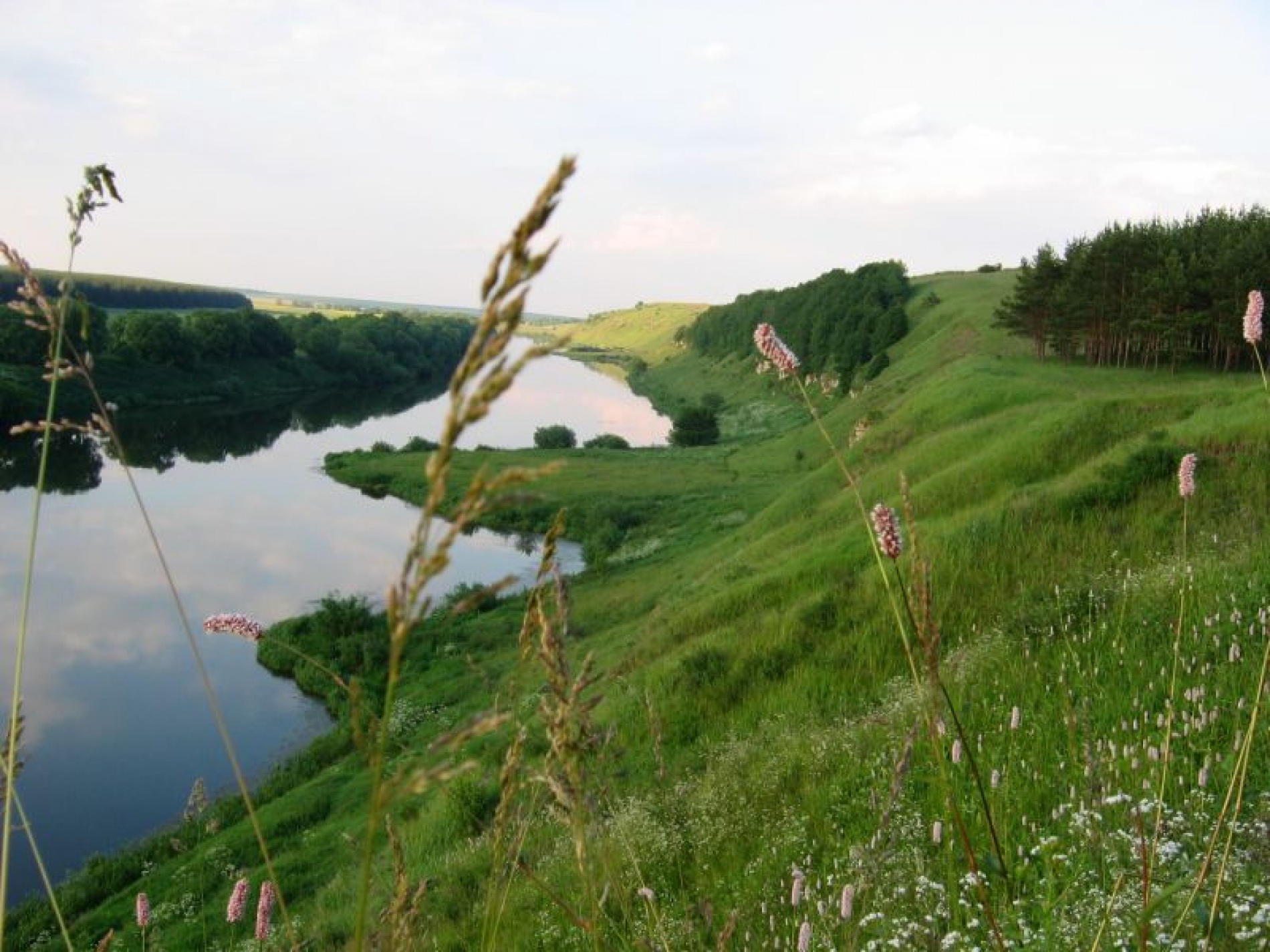 Фото Старая мельница