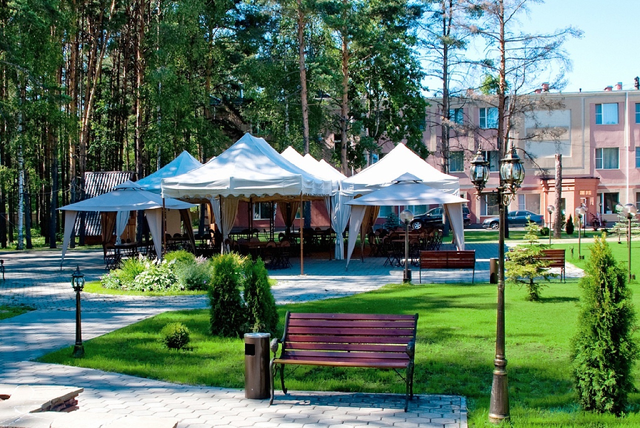 Фото Сосновый бор