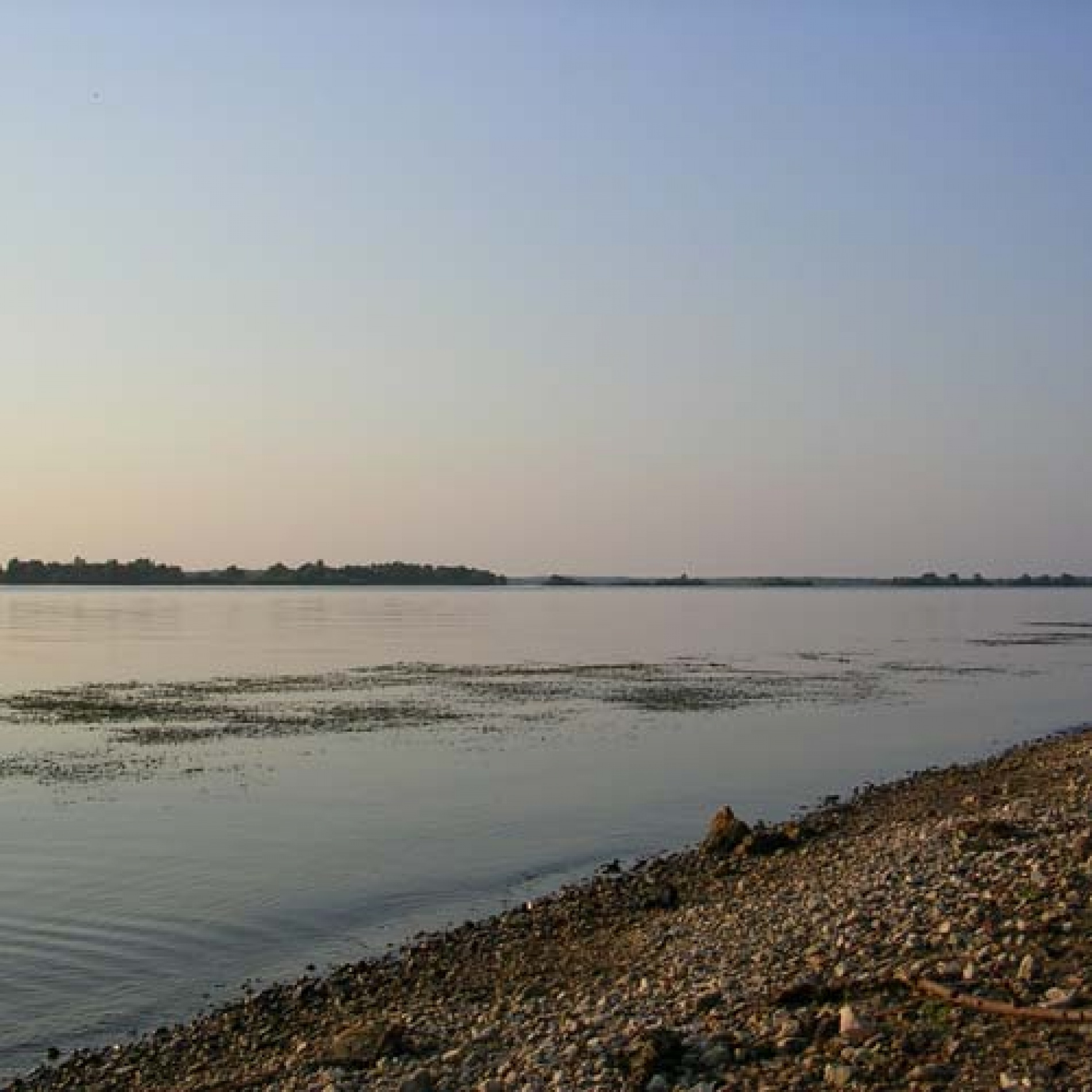 Фото Васильсурский