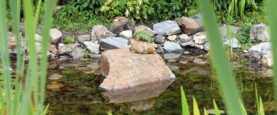 Фото На Радужном берегу