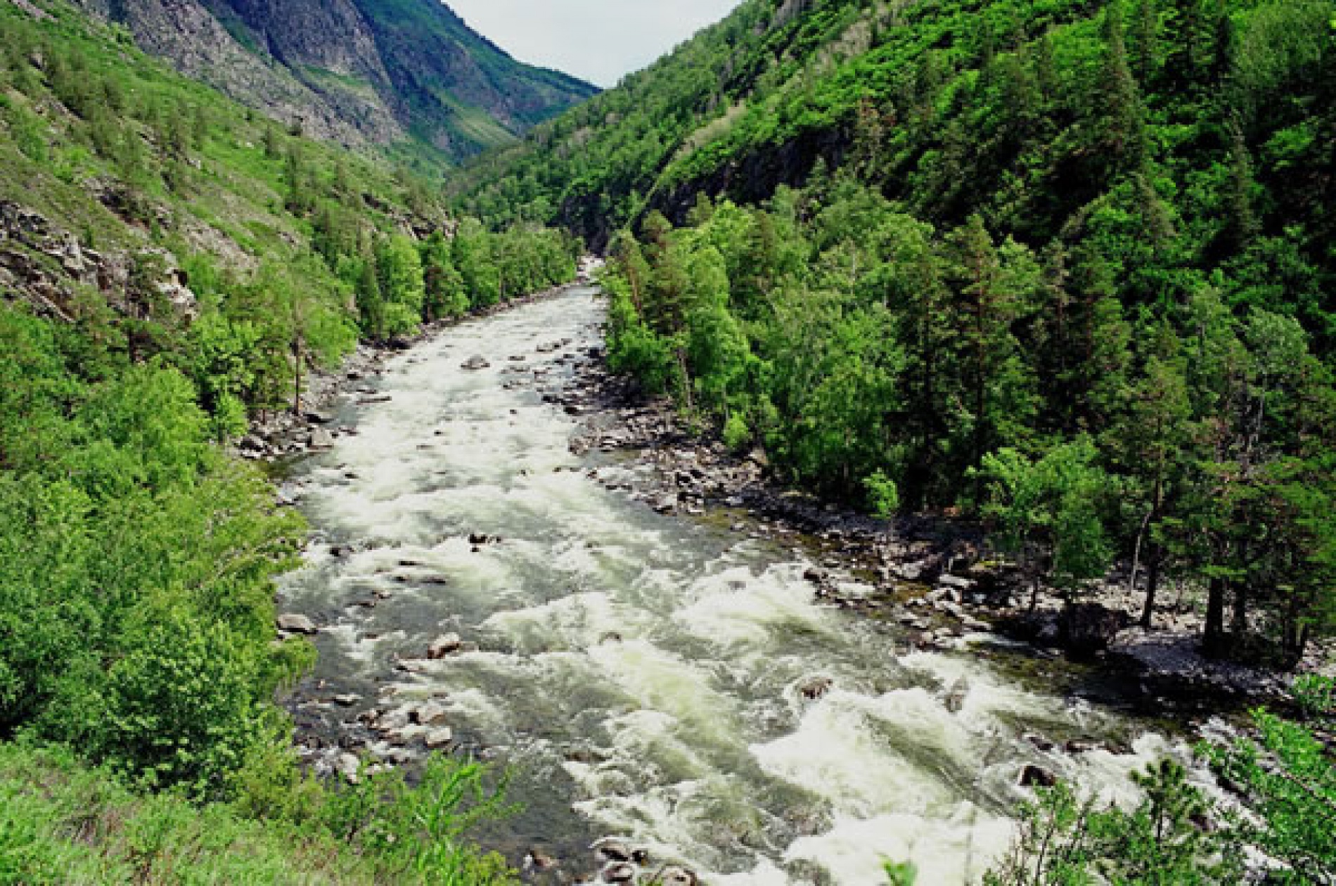 Фото Алтын-Кёль