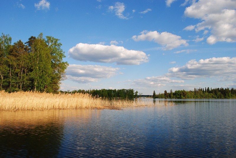 Фото Пансионат Северное сияние