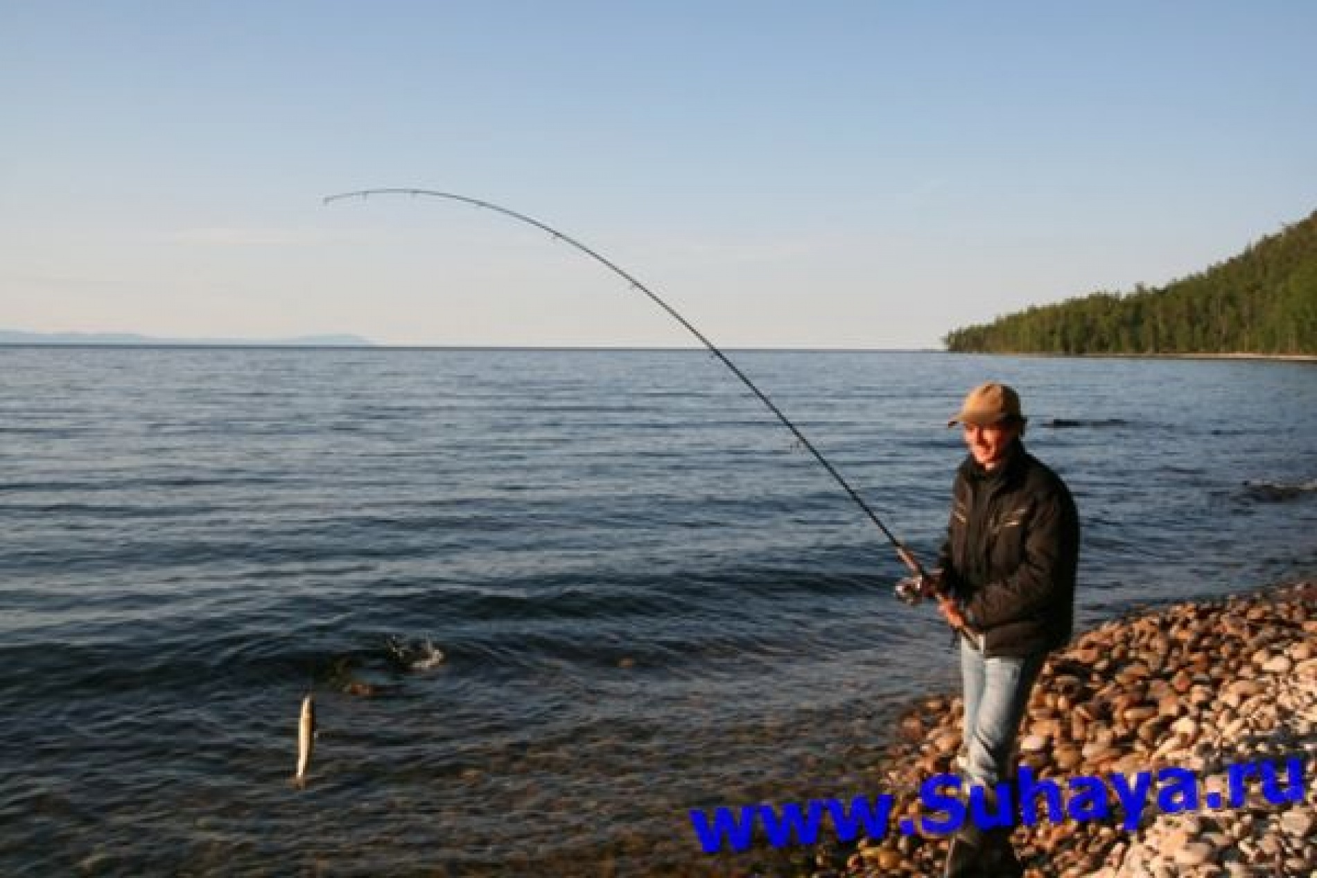 Фото Звездный