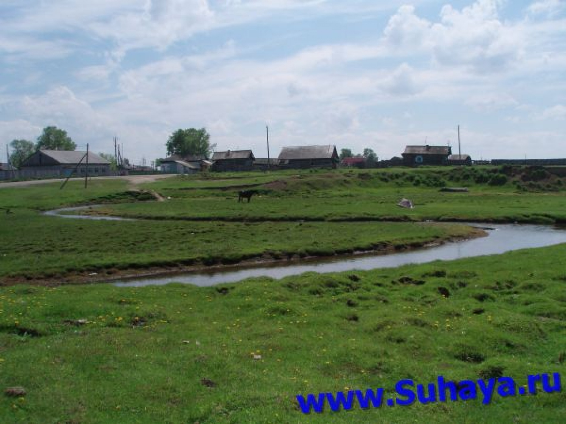 Фото Звездный