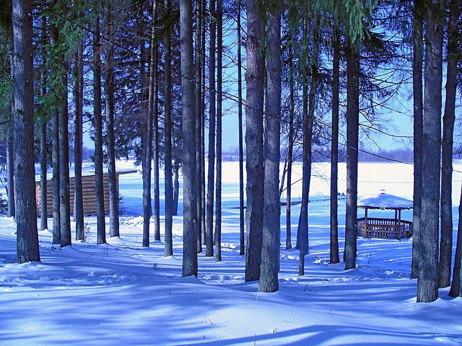 Фото Яр-Селигер