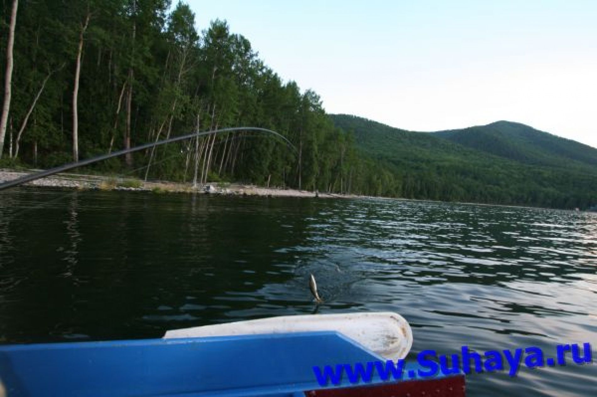 Фото Звездный