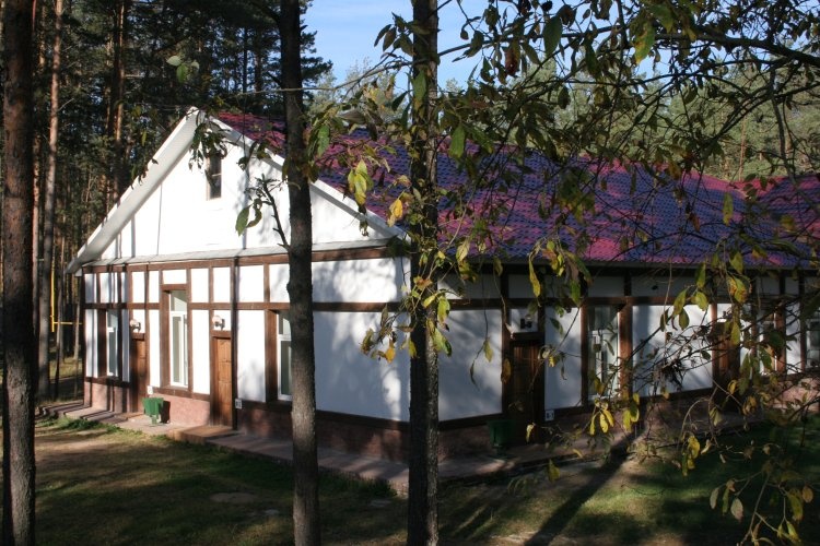 Фото Лукоморье