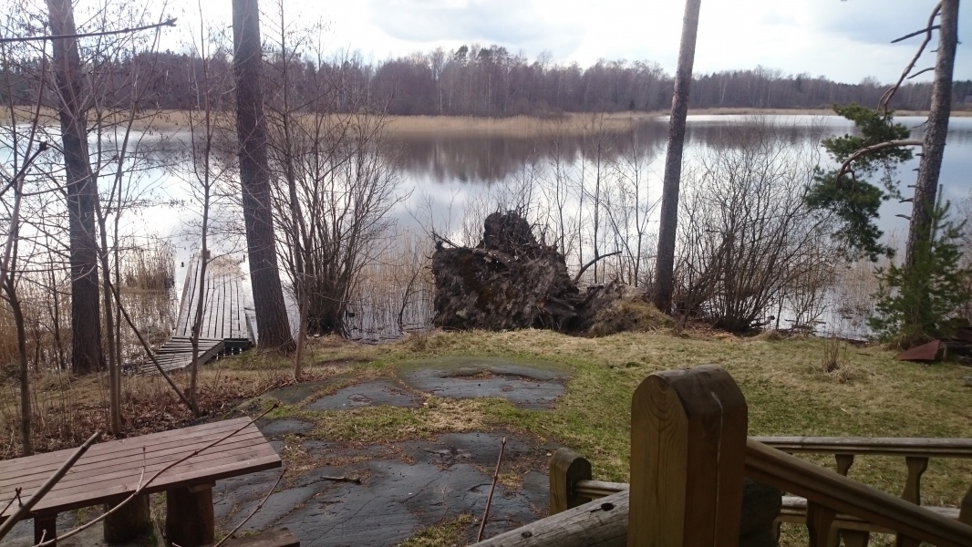 Фото Парк-отель Яркое