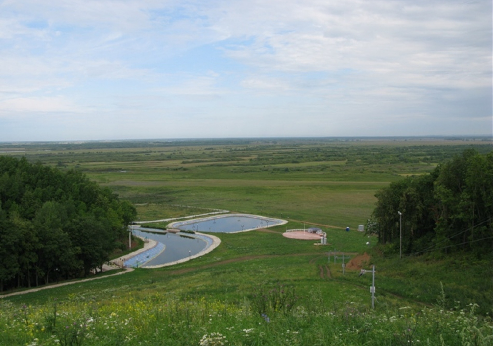 Фото Алая роза