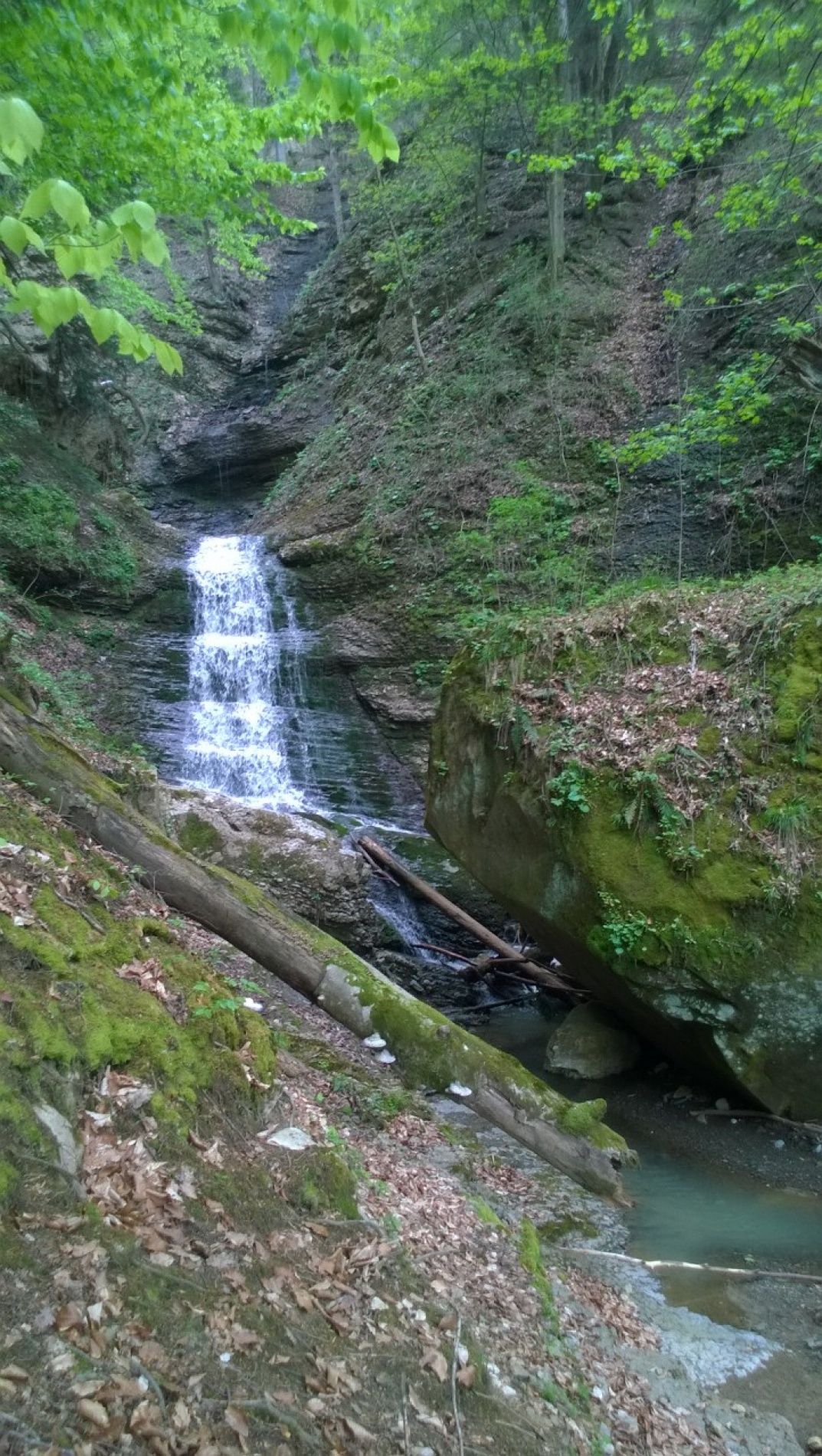 Фото Гостевой Дом Нахалёнок