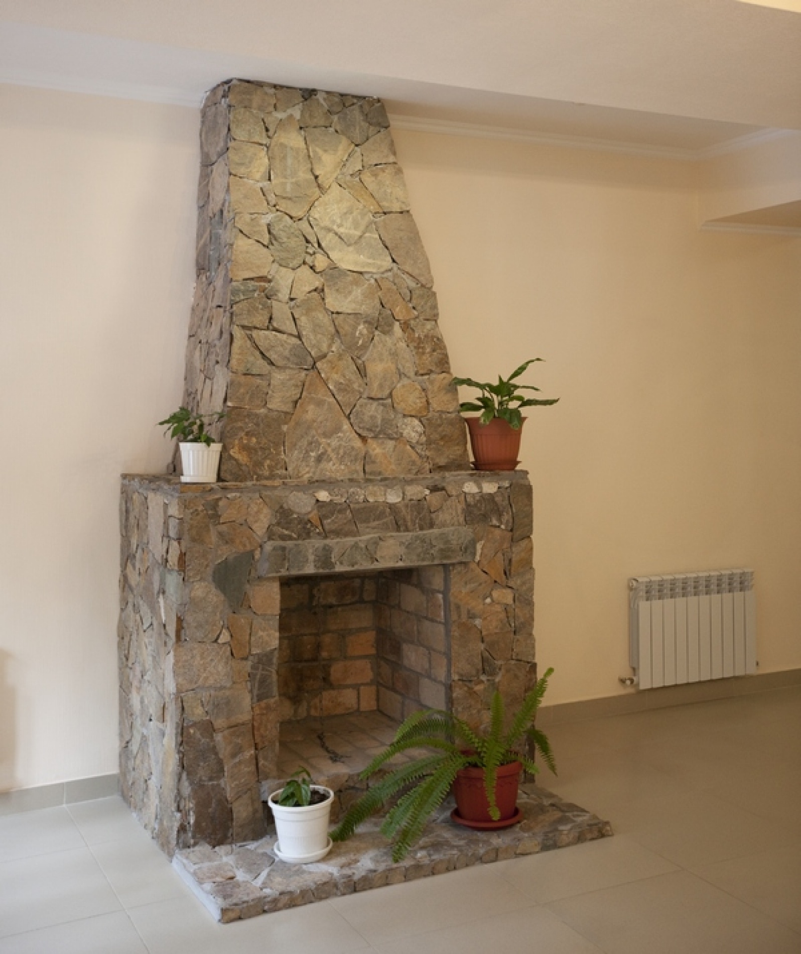 Фото Лагуна