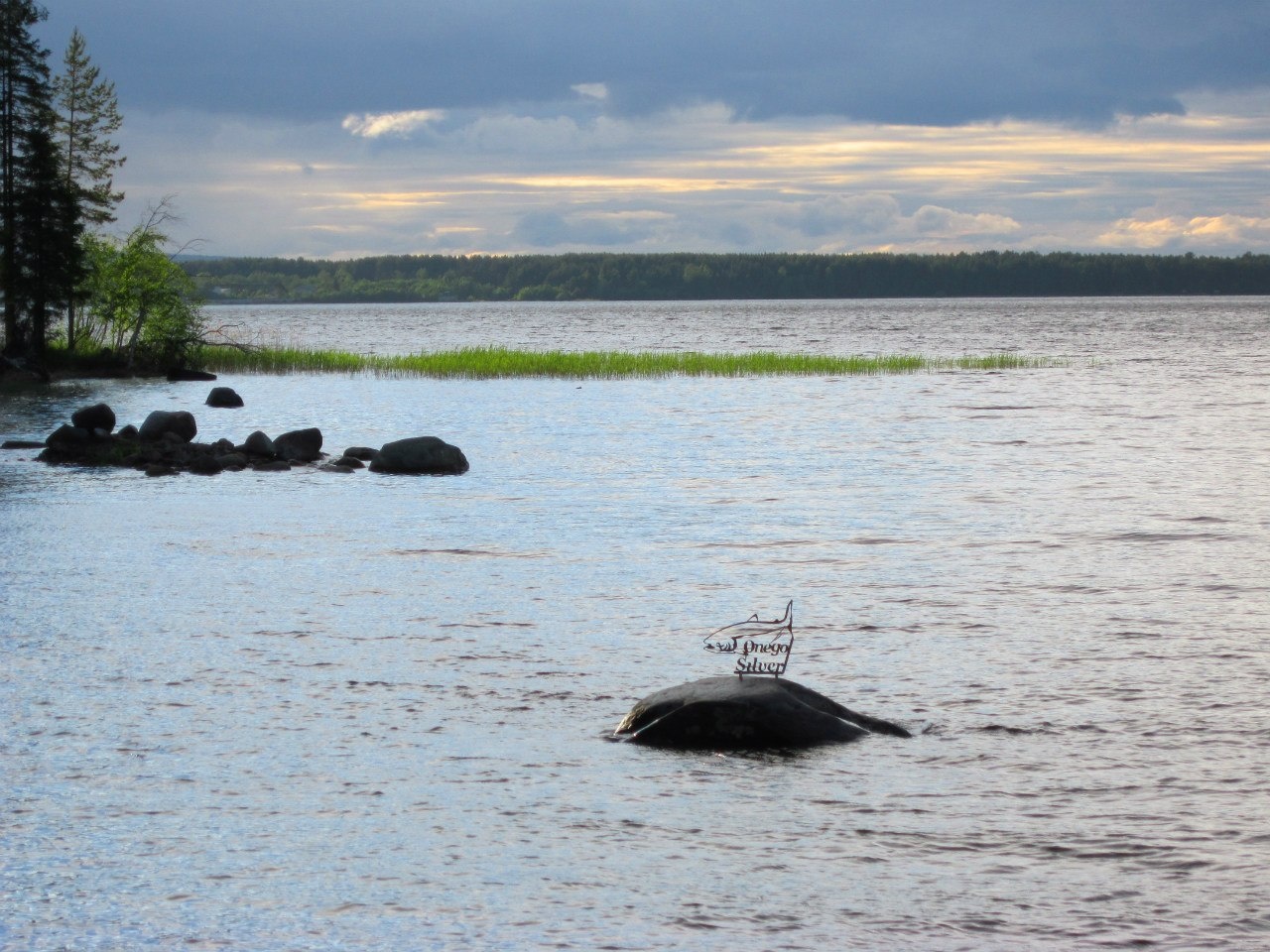 Фото Серебро Онеги