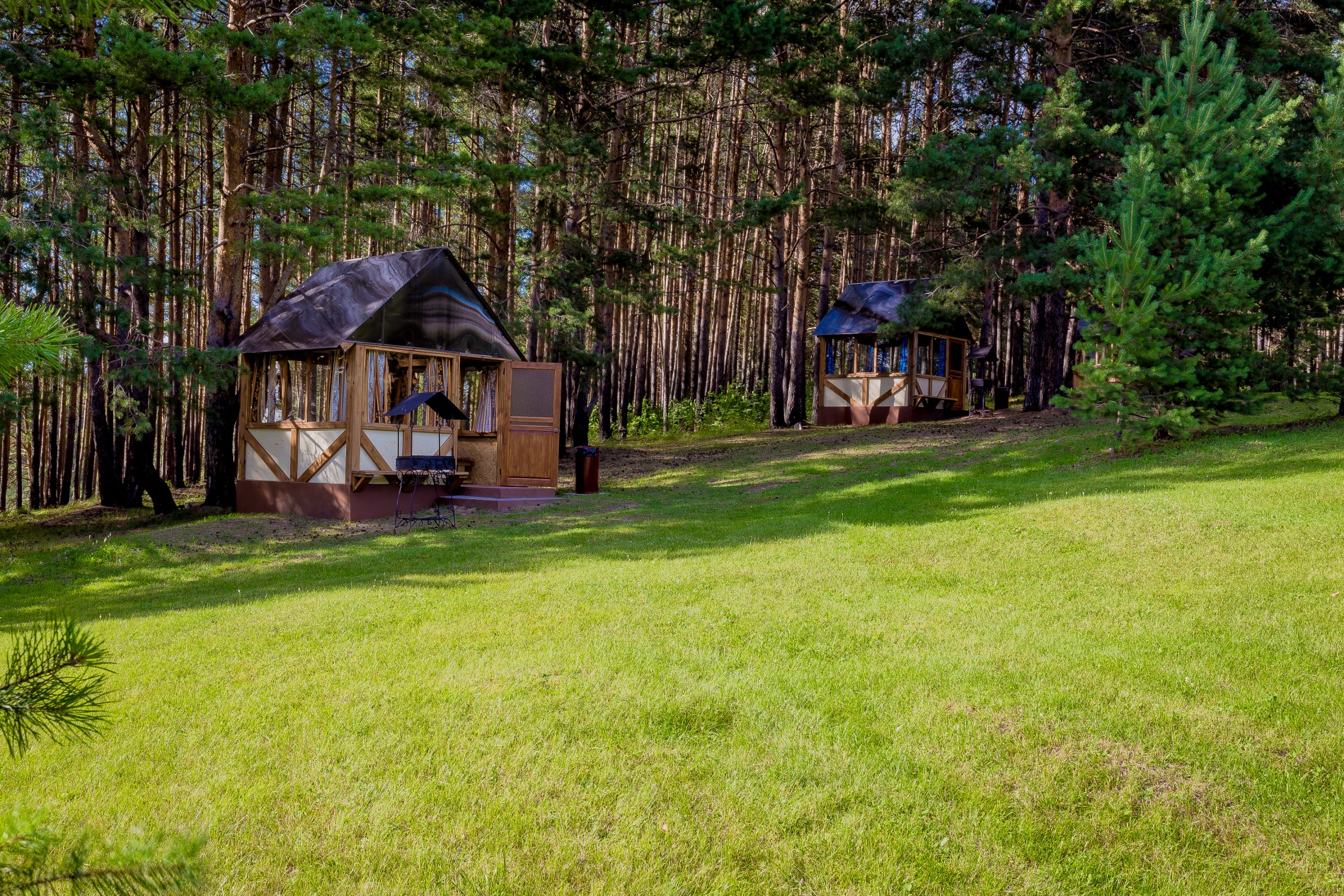 Фото Иволга