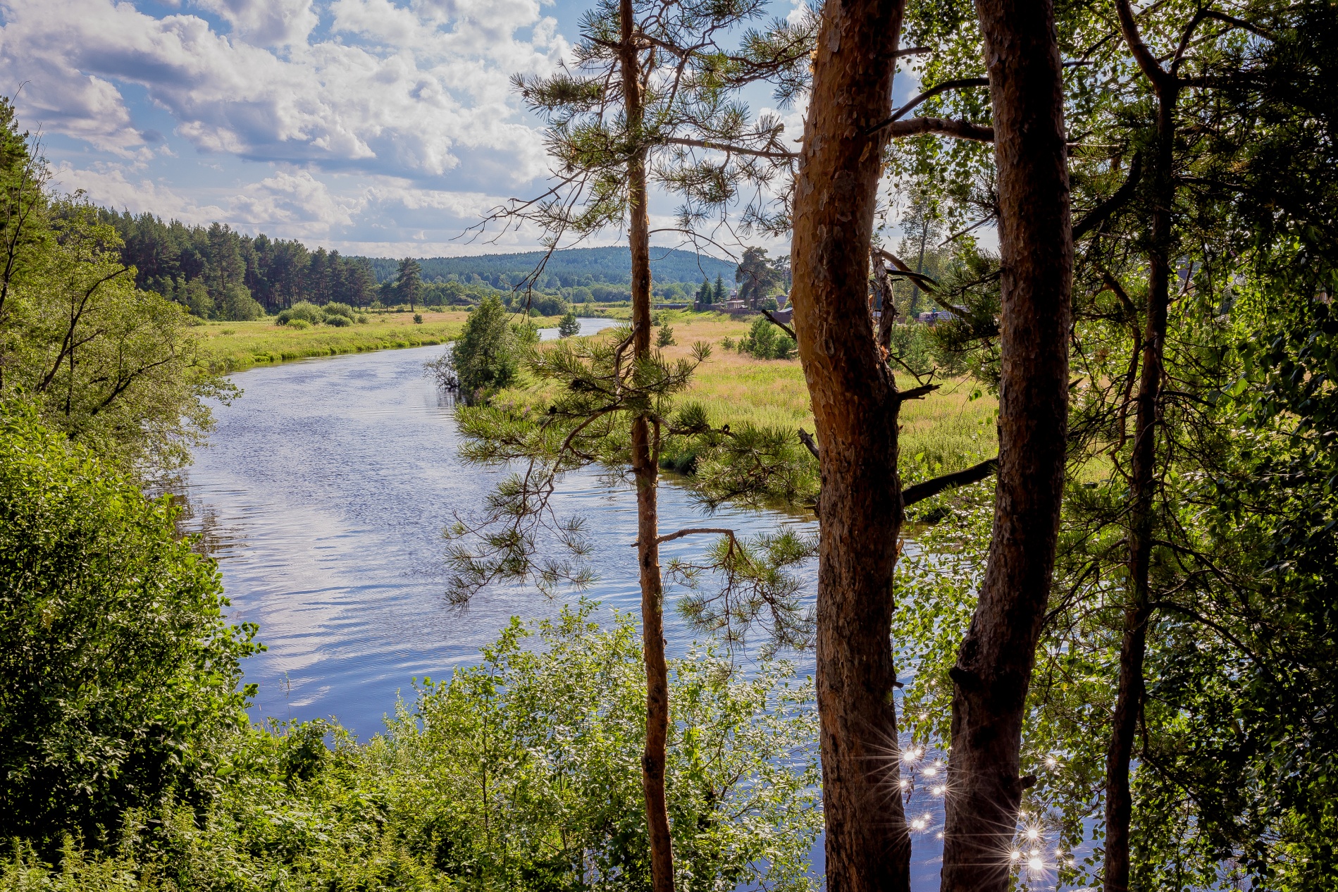Фото Иволга