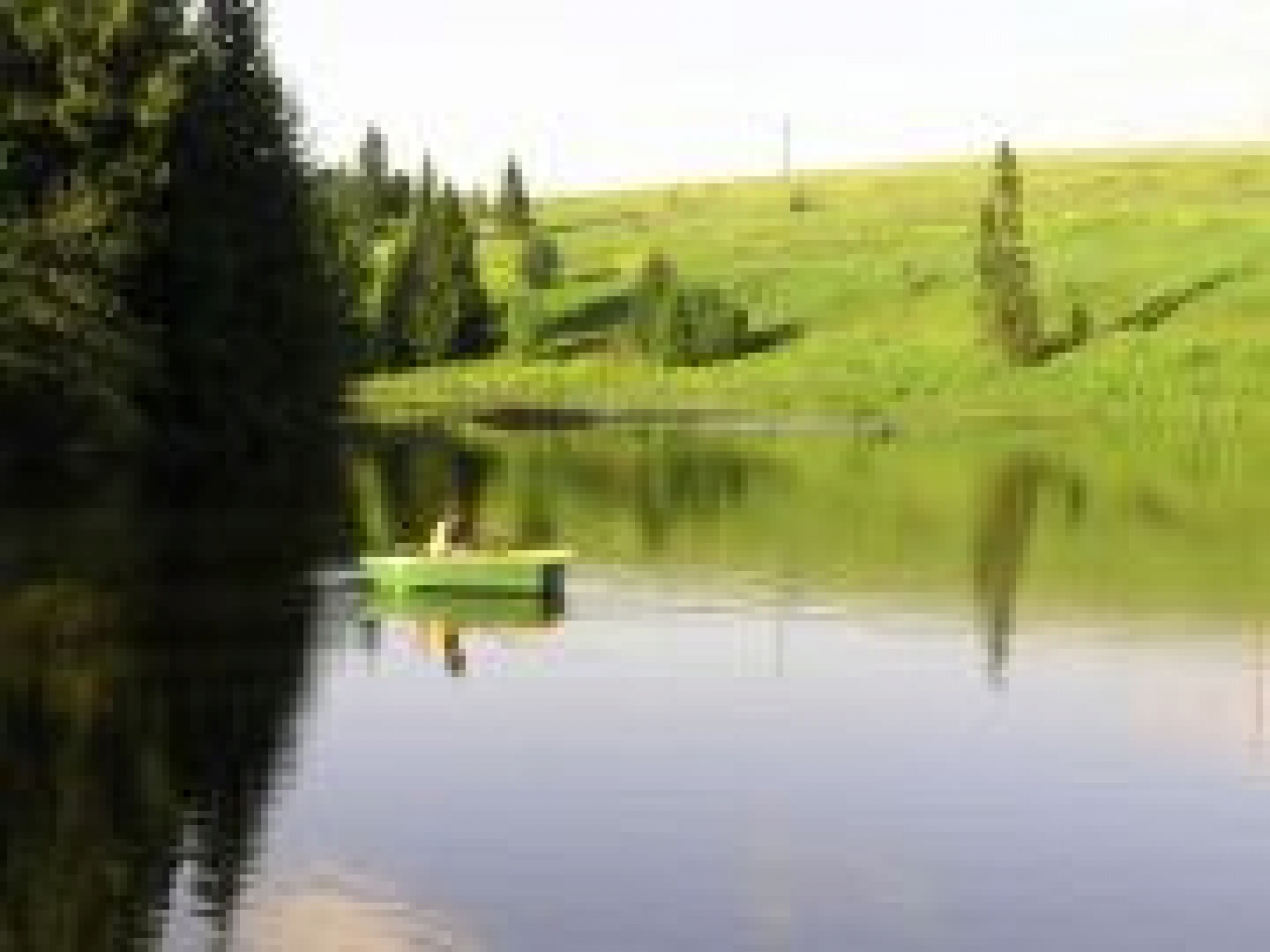 Фото Белый берег