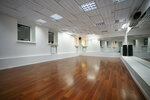 DanceSpa (Velyka Zhytomyrska Street, 21), dance school
