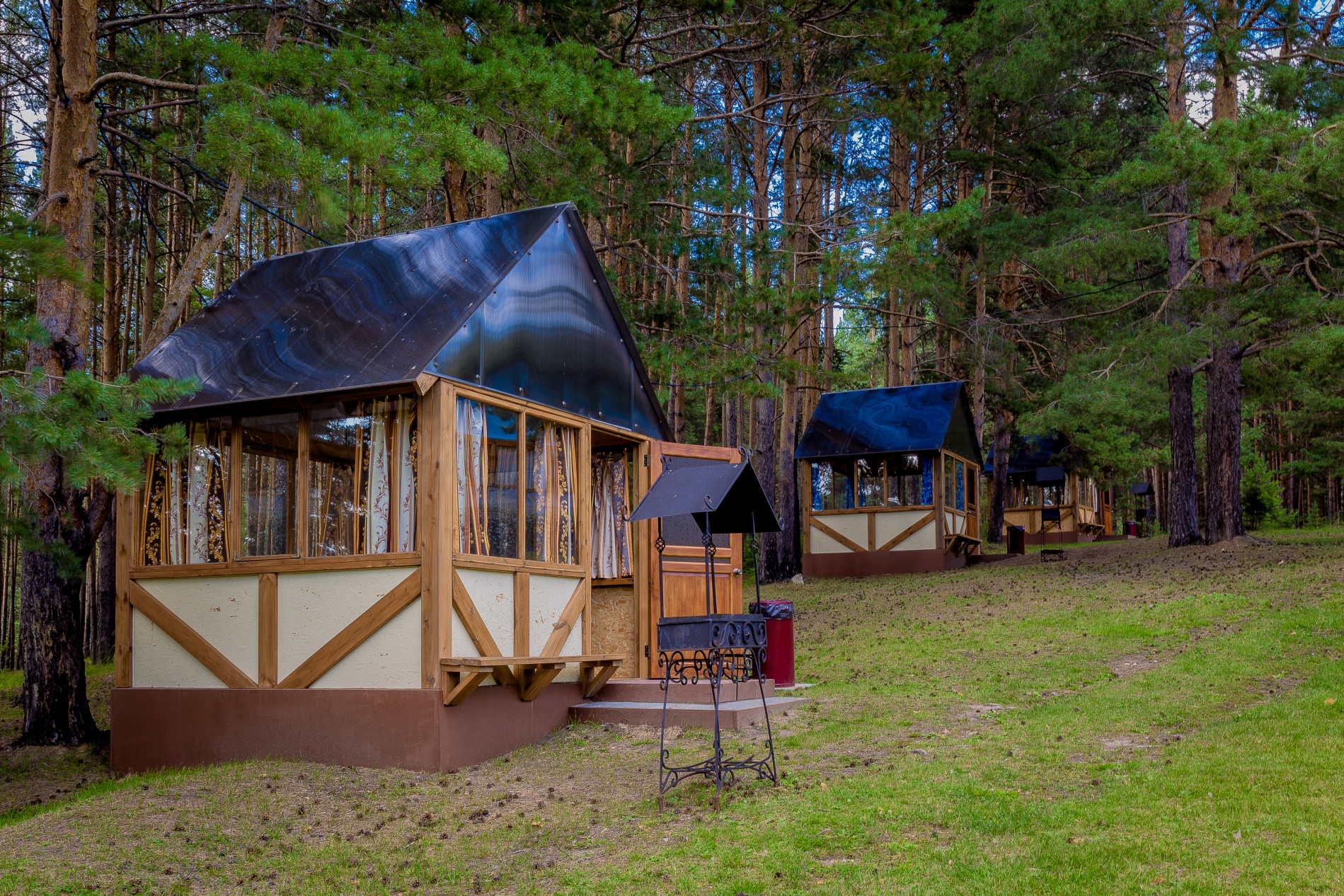 Фото Иволга