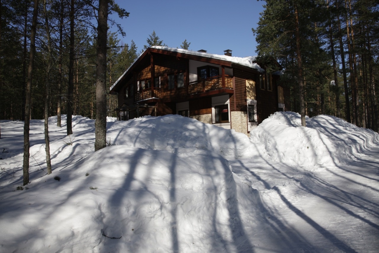 Фото Лесная Рапсодия