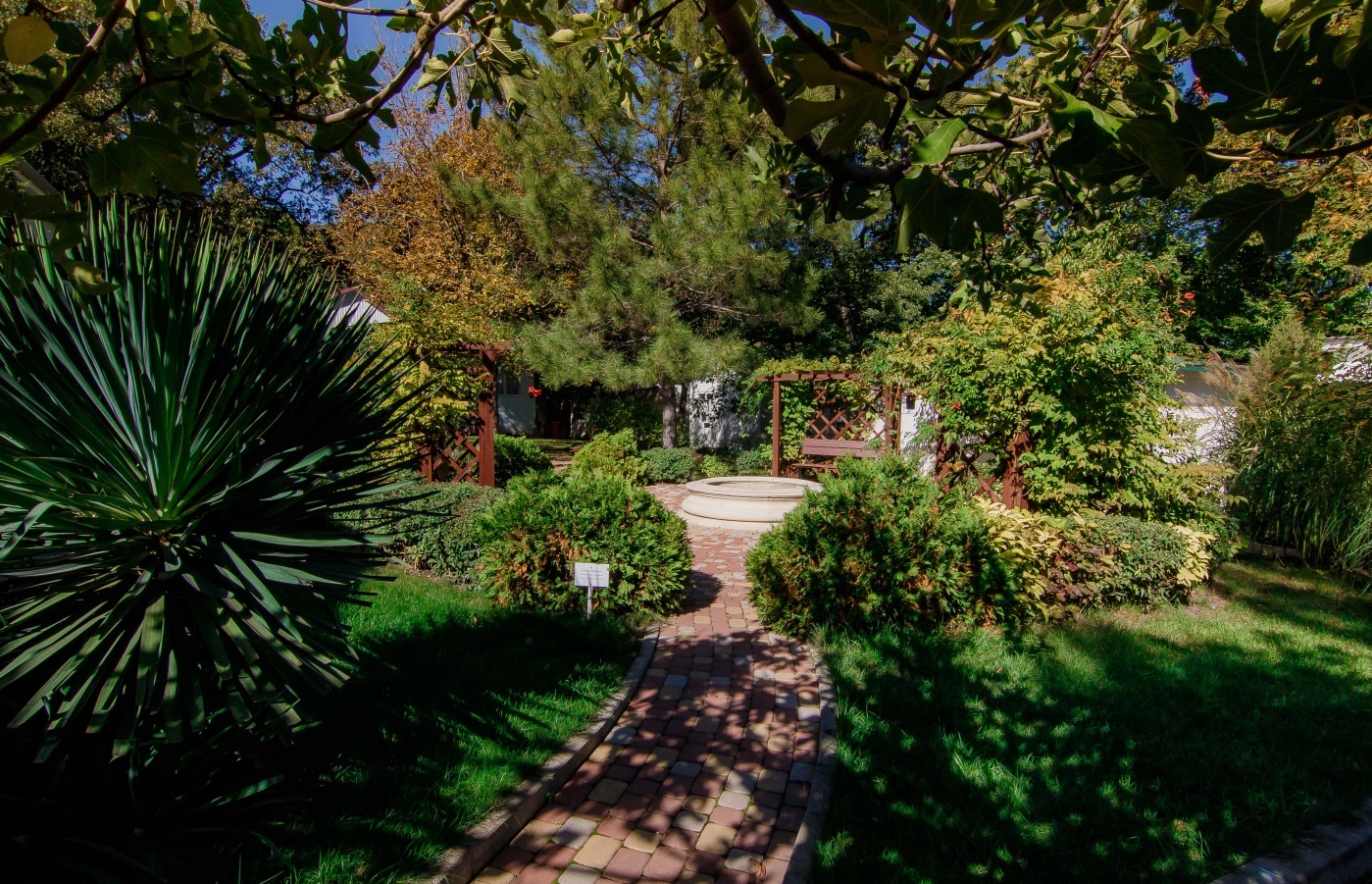 Фото Бирюза-Юг