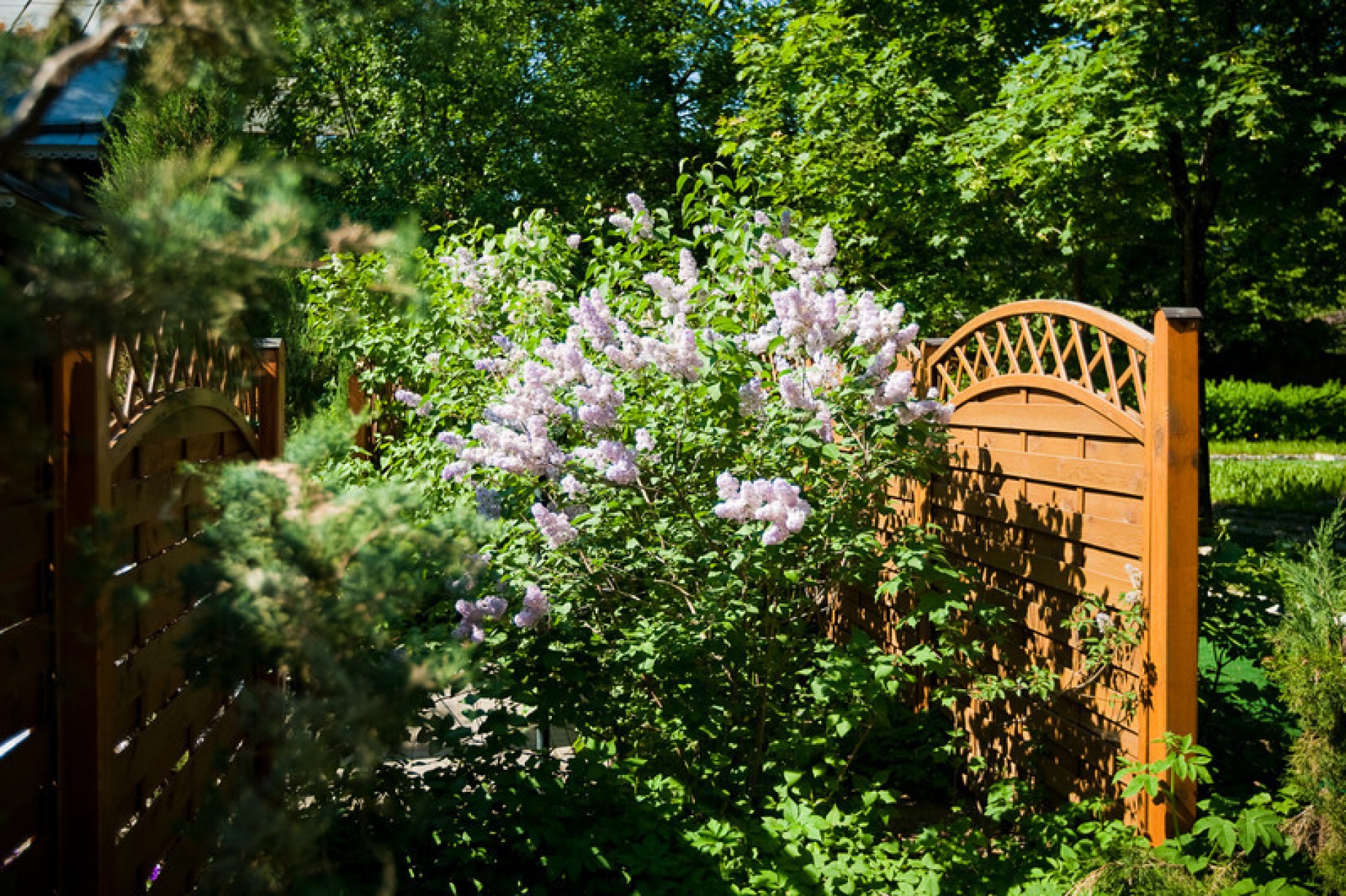 Фото Загородный клуб Аут