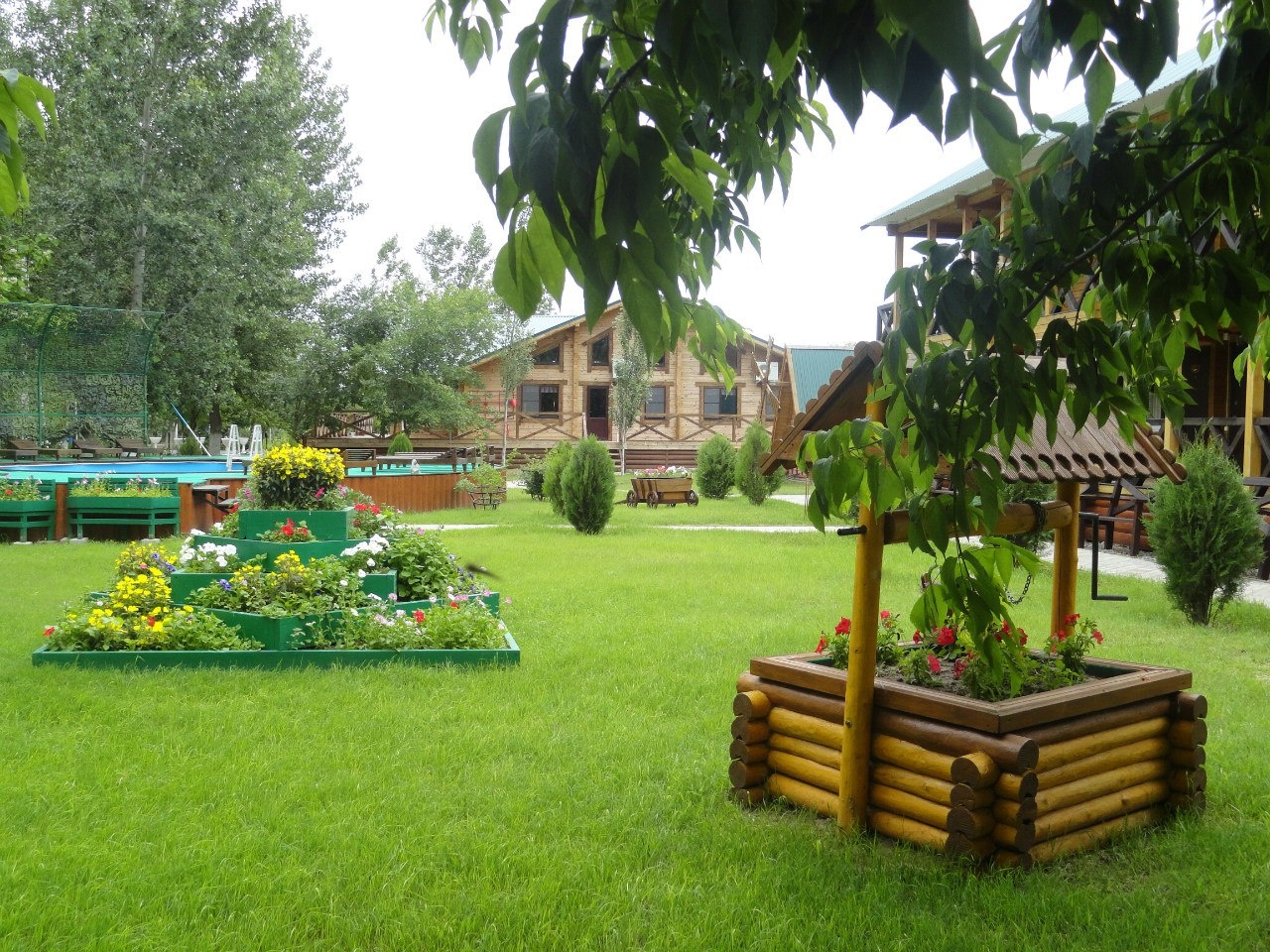 Фото Золотой Лотос