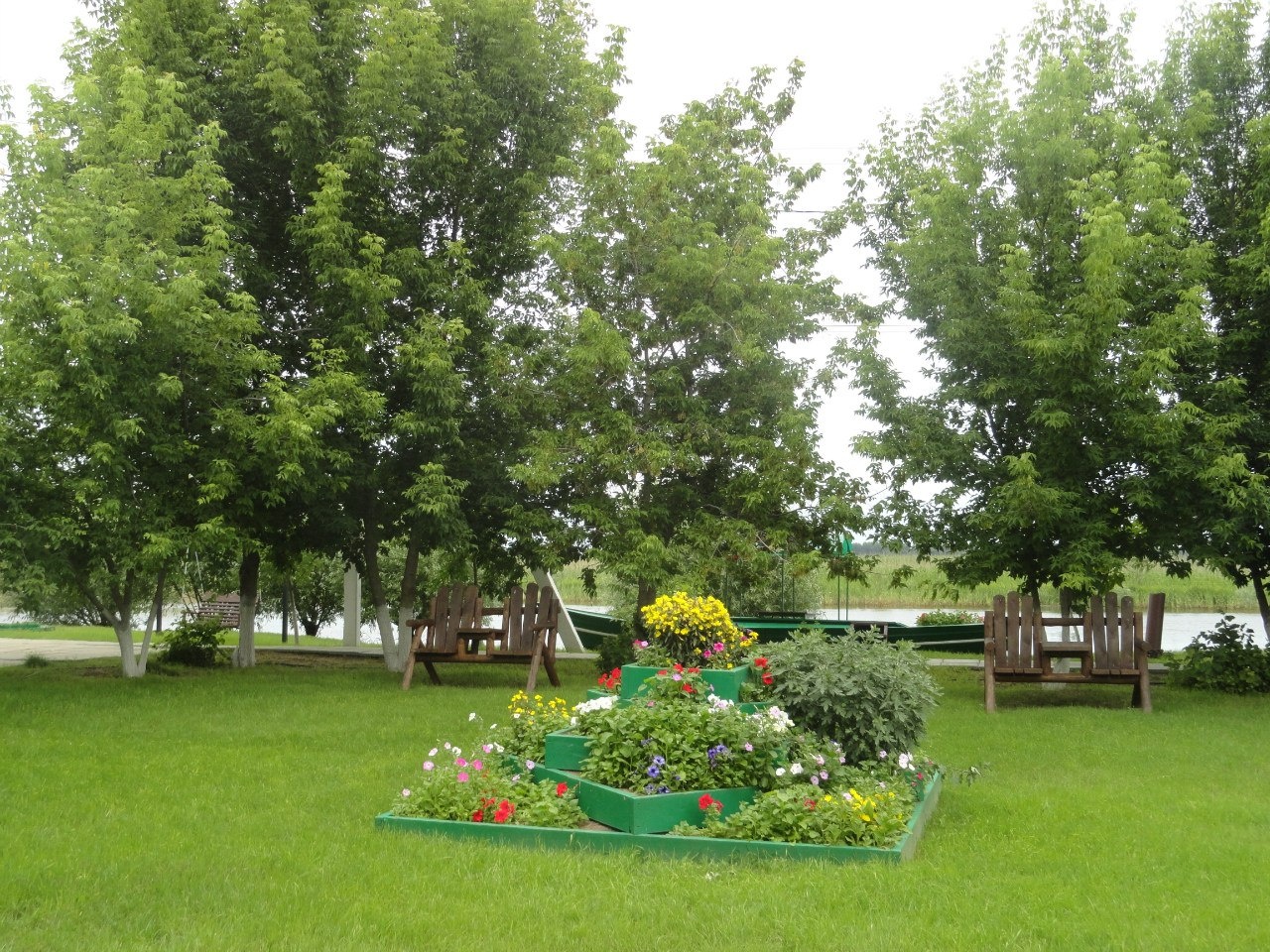 Фото Золотой Лотос