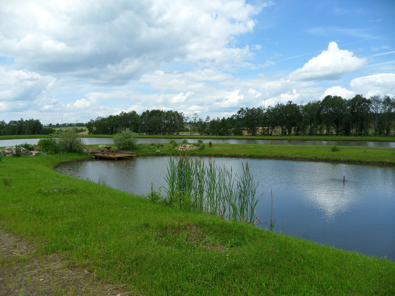 Фото Усадьба Терема