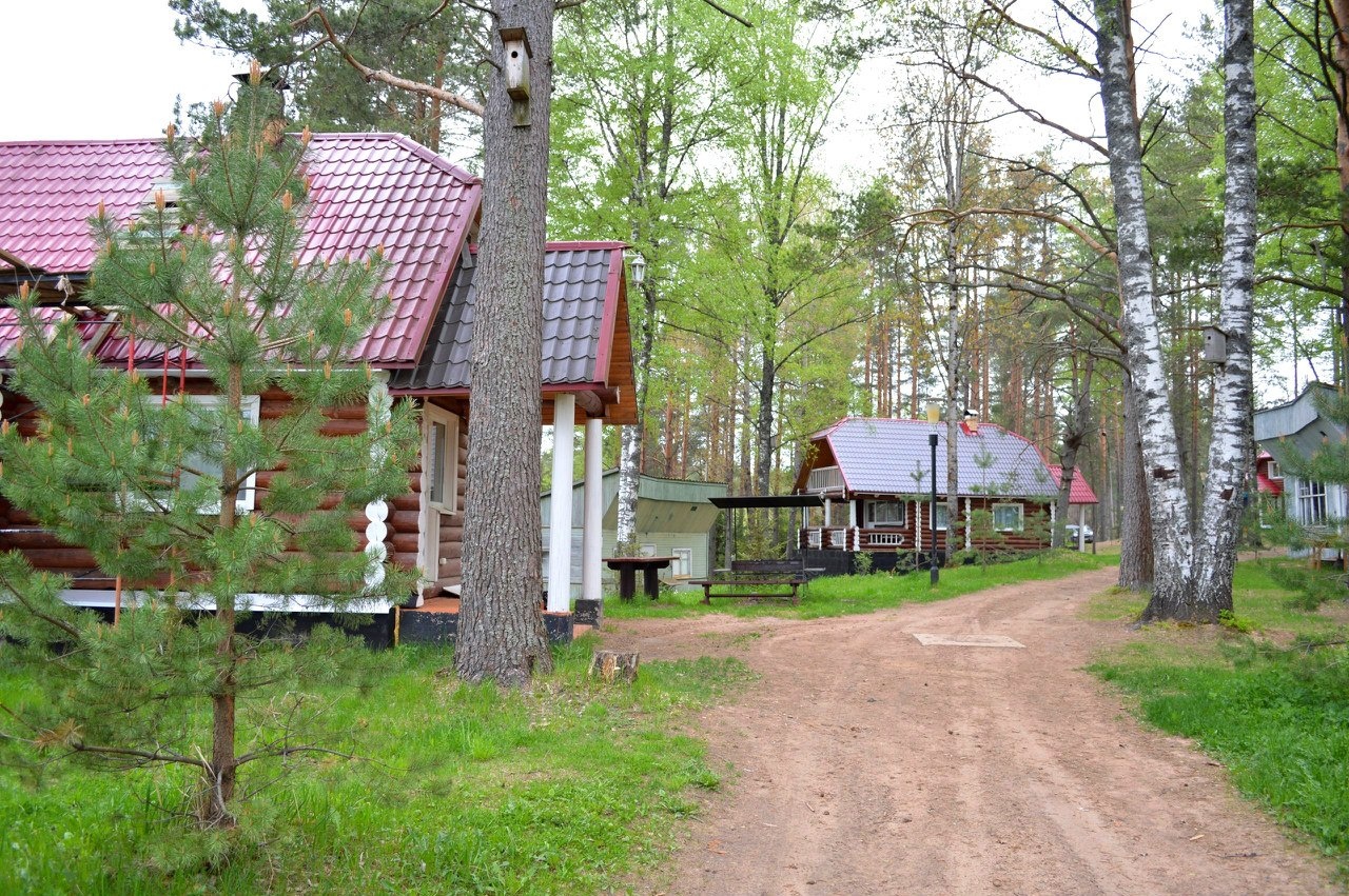 Фото Алёнушка