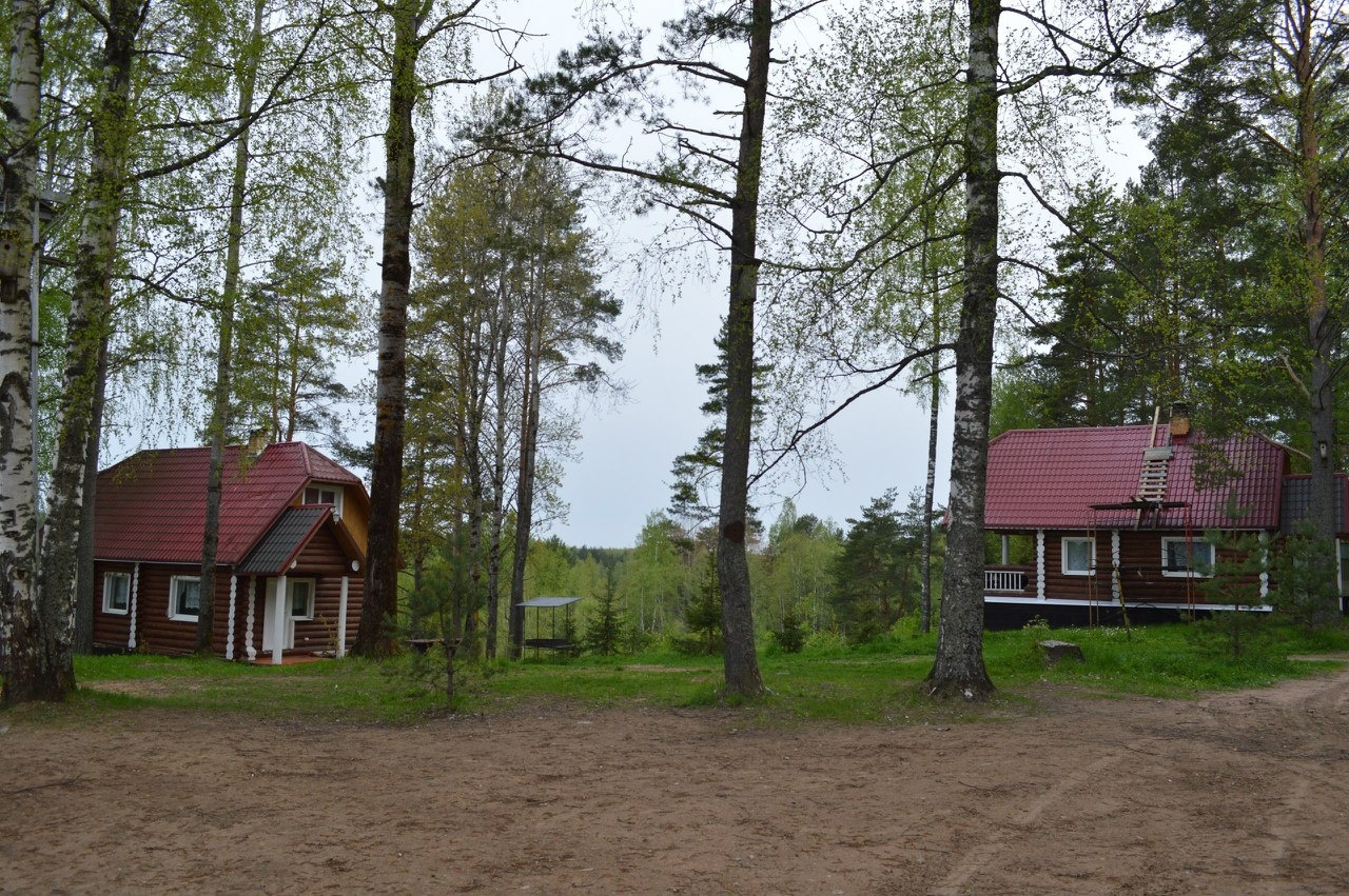 Фото Алёнушка