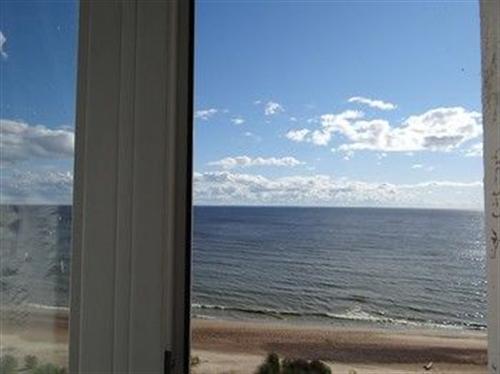 Фото Репино Парк Отель