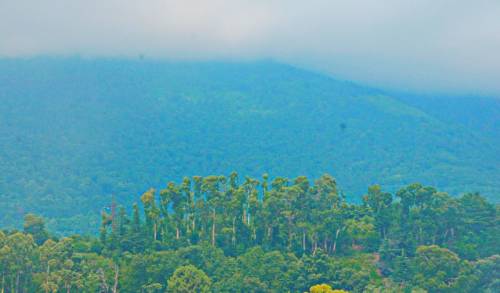 Фото Ахчыпсы