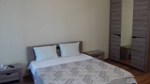 Фото Диоскурия