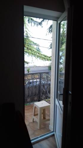 Фото Диоскурия