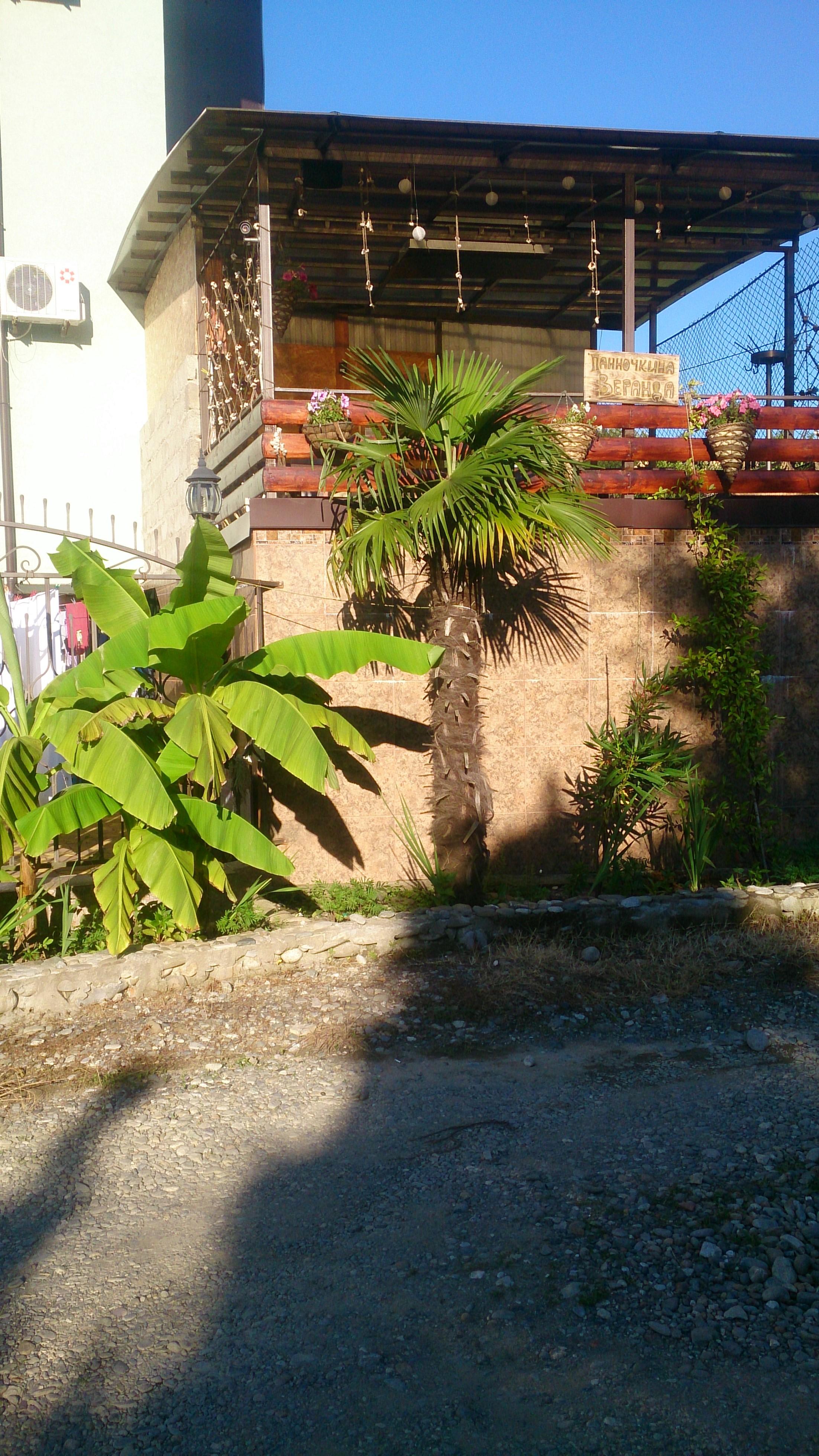 Фото Пани София