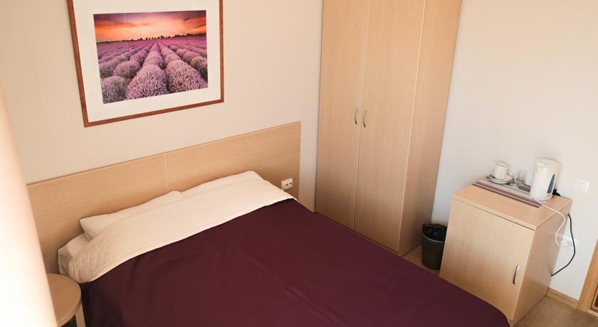 Фото Лаванда