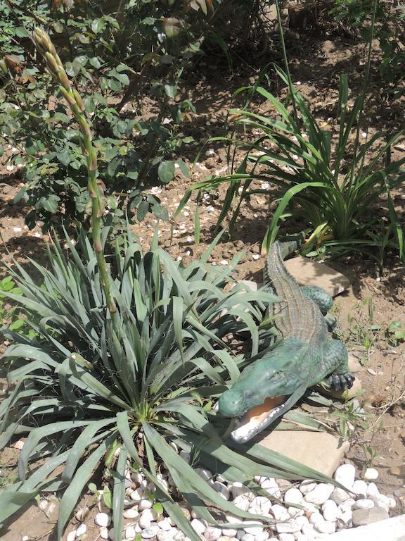 Фото Вилла Ямайка