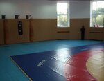 Klub boyevogo sambo Dinamo (Mykhaila Hrushevskoho Street, 3), club deportivo, sección