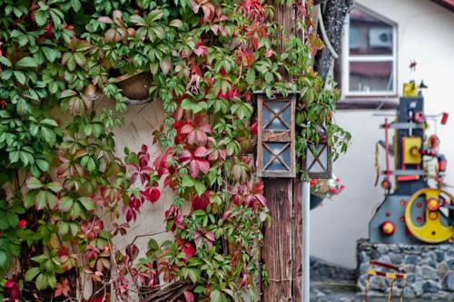 Фото Чисто Отель