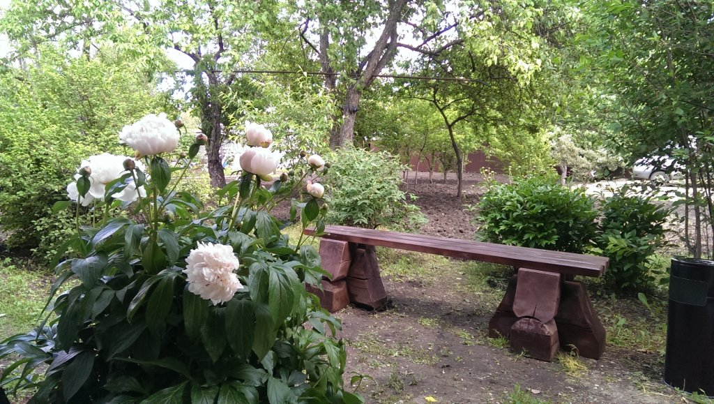 Фото Беркана