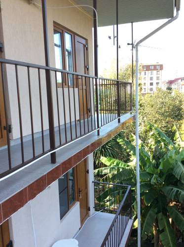 Фото Тропики