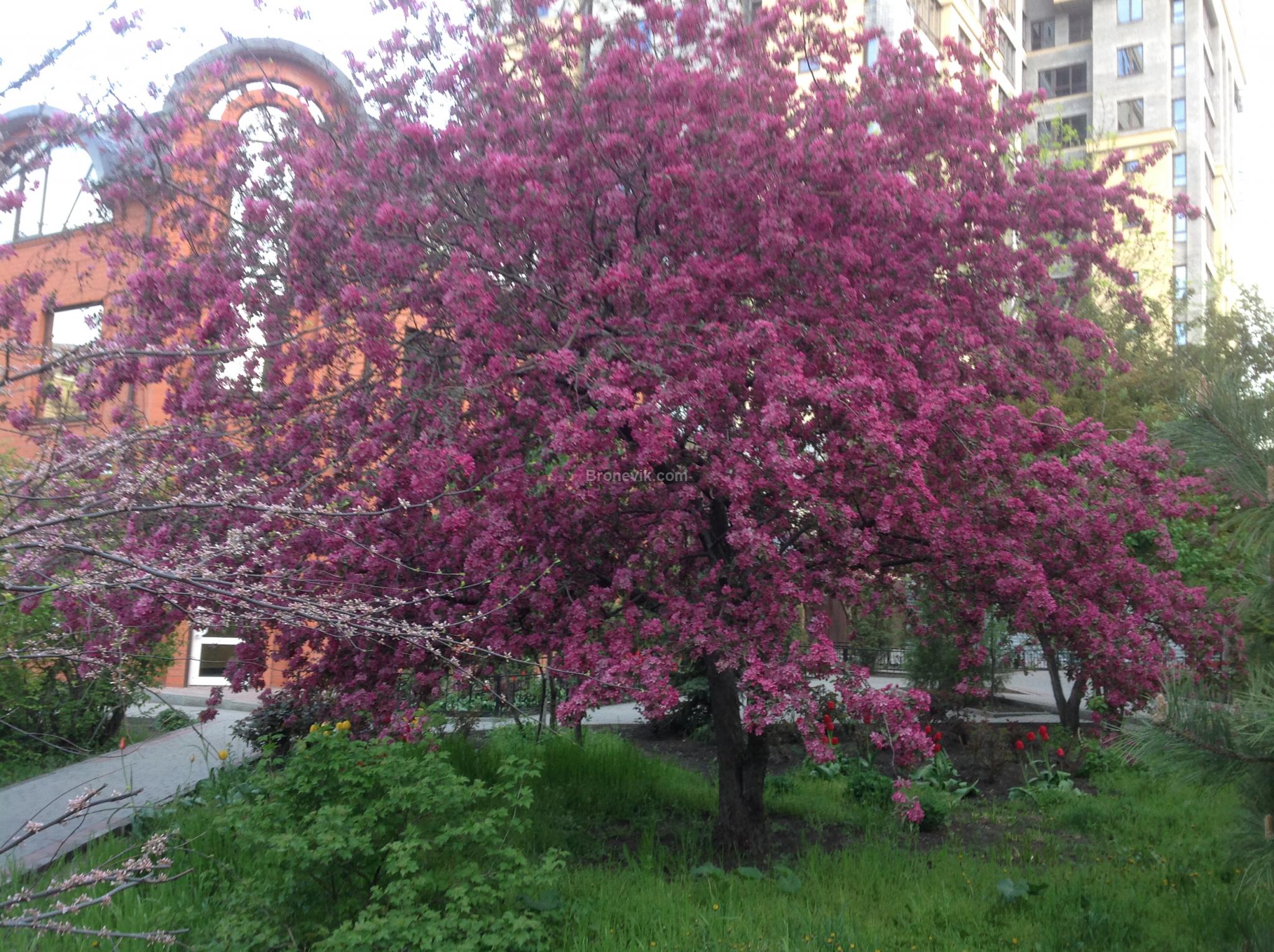 Фото Центр Отель