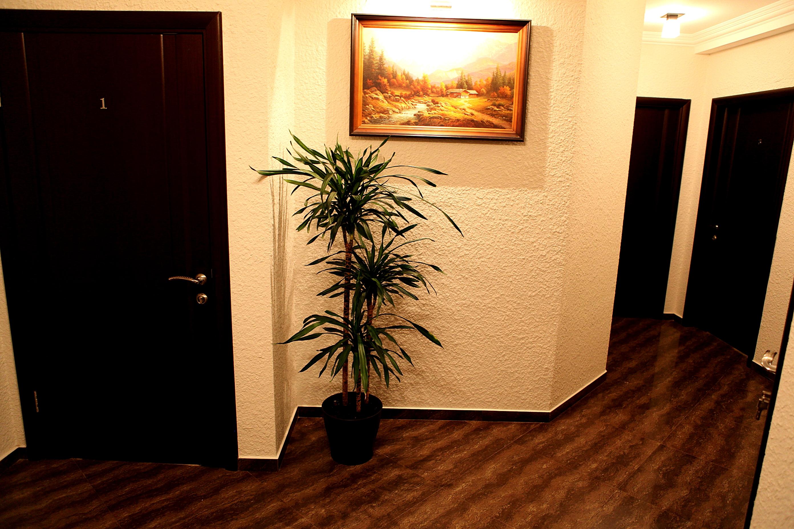 Фото Наботель