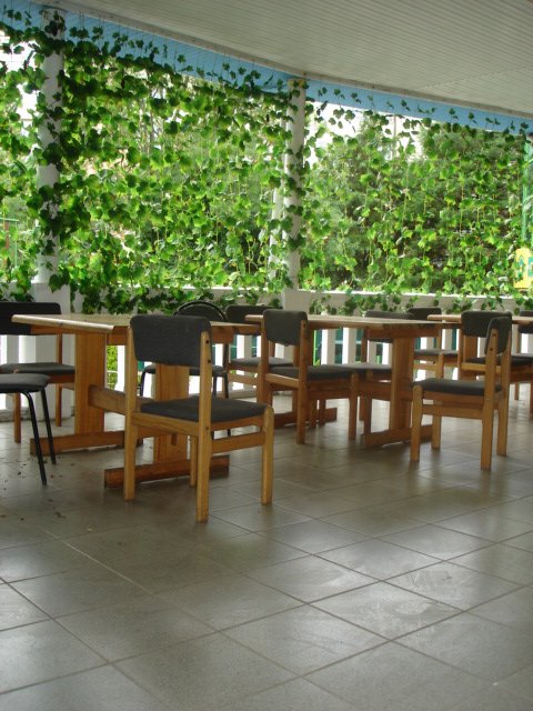 Фото Альбатрос